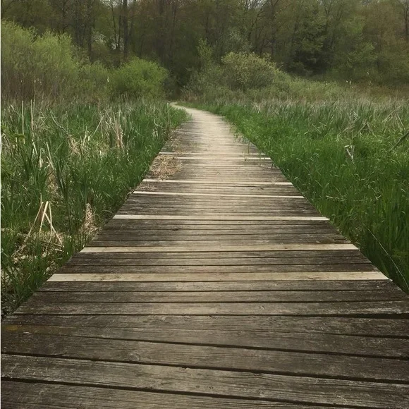 Jcwright610 ~ The wright Fit ~ Like for notifications of posh shows! - Picture 6 of 9